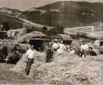 História