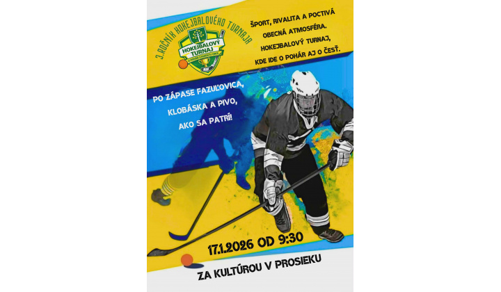 Hokejbalový turnaj 17.1.2026